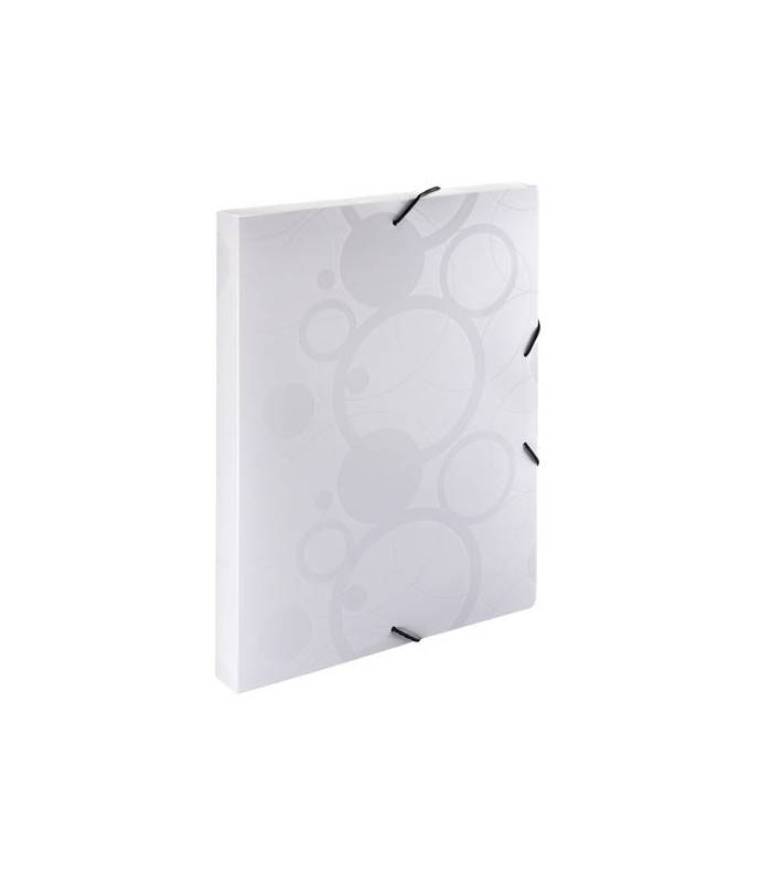 Plastový box s gumičkou Black&White A4, bílá