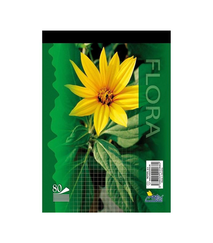 Poznámkový blok, A5, 80 listů, čtverečkovaný