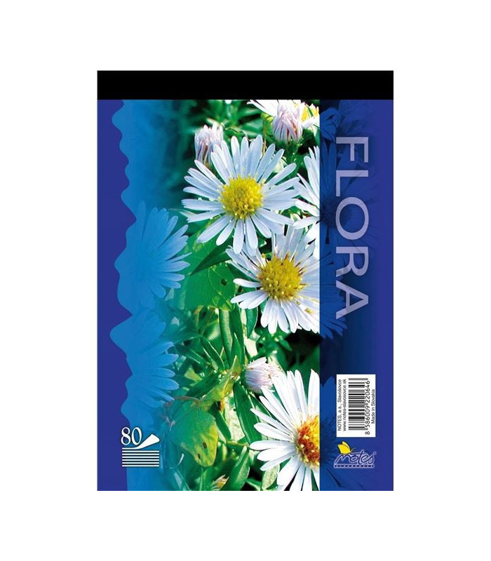 Poznámkový blok, A5, 80 listů, čistý