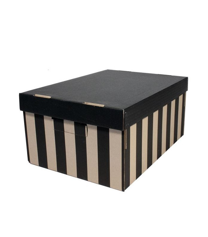 Krabice úložná BIG BOX s víkem 28x18x37 cm, 2 ks