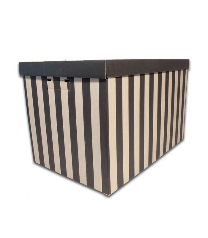 Krabice úložná BIG BOX s víkem 37x36x56 cm, 2 ks