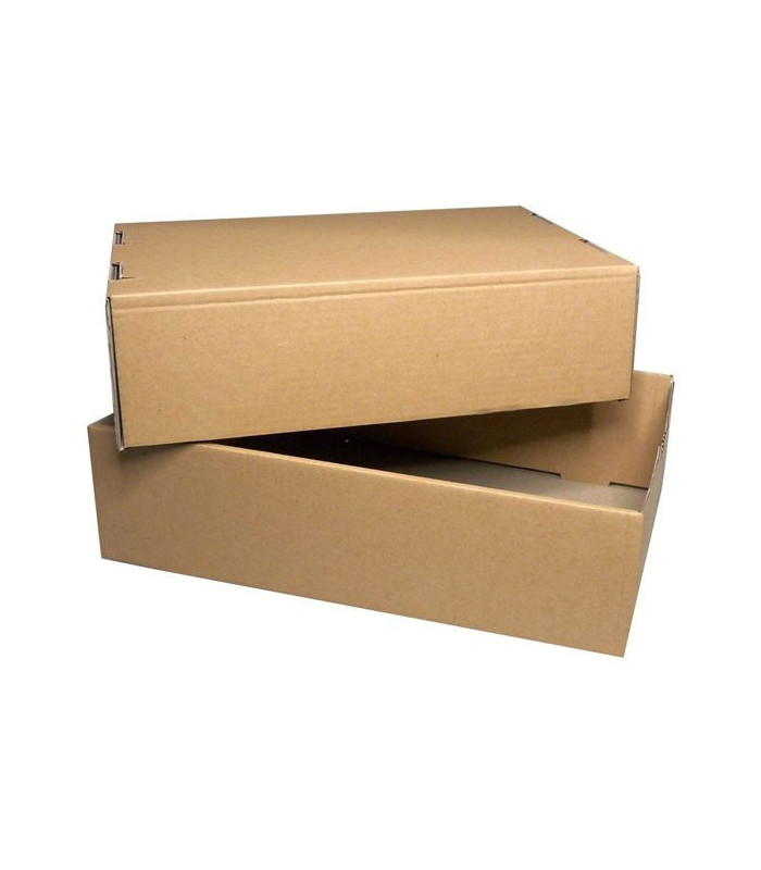 Krabice s víkem - 3vrstvá, 300 x 89 x 198 mm, nosnost 4,6 kg, 10 ks