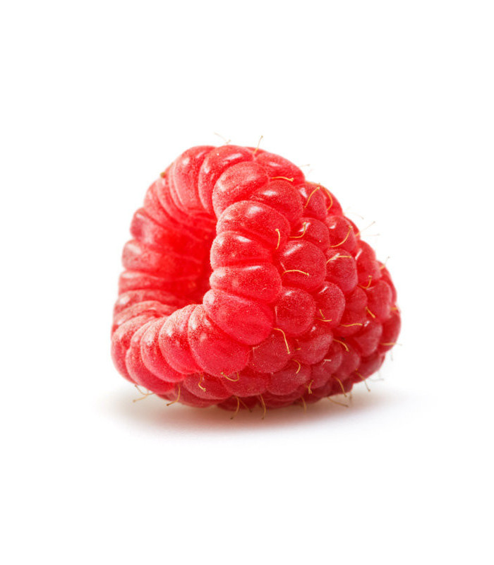 Černý čaj Puro - lesní ovoce, Fairtrade, 25 x 2 g
