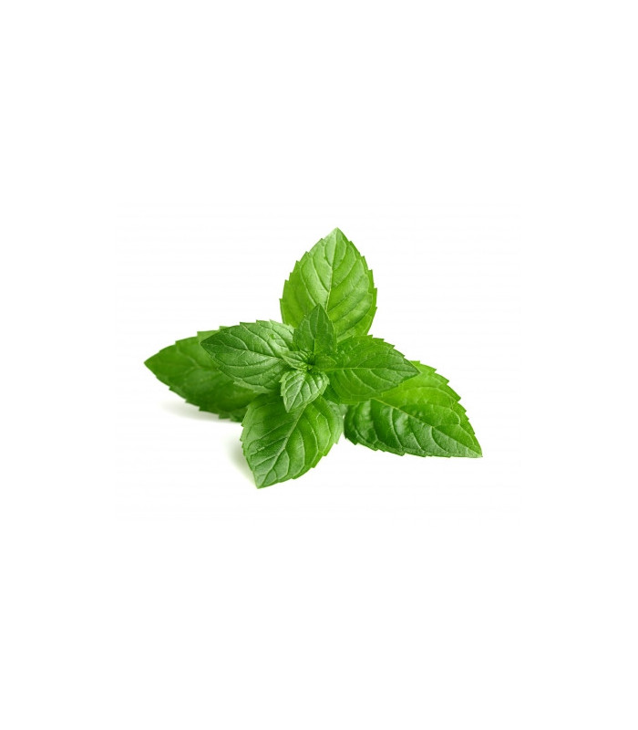 Bylinný čaj Puro - Máta, bio, Fairtrade, 25 x 1,5 g