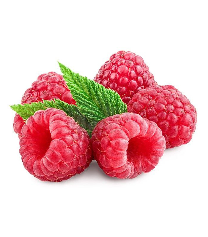 Ovocný čaj Teekanne lesní směs, 20 x 2,5 g
