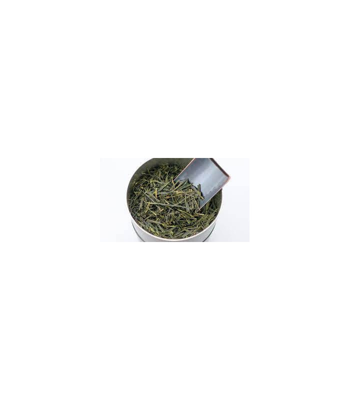 Zelený čaj Lipton Green Tea Sencha, 25 x 1,8 g