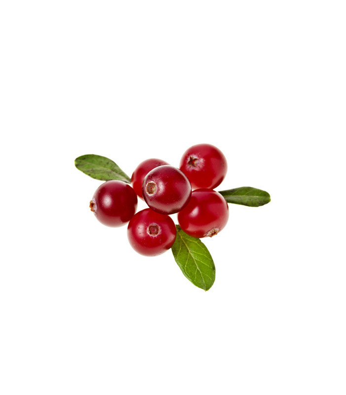 Ovocný čaj Pickwick - variace pomeranč, 20 x 2 g