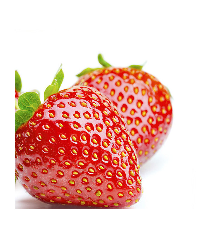 Ovocný čaj Pickwick - variace pomeranč, 20 x 2 g