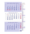 Tříměsíční kalendář 2024 - poznámkový, modrý