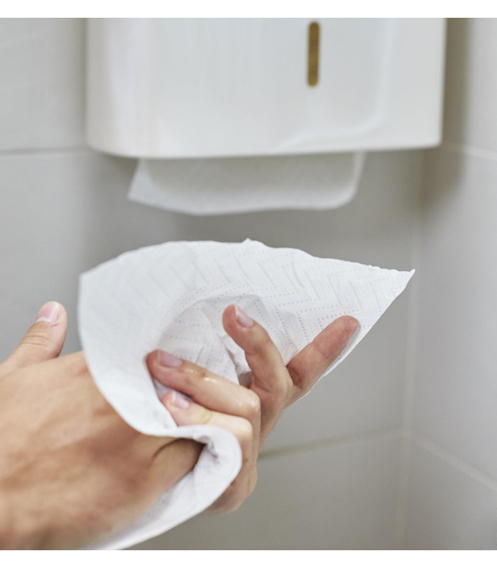 Skládané papírové ručníky Papernet - 2vrstvé, bílý recykl, 15x266 ks