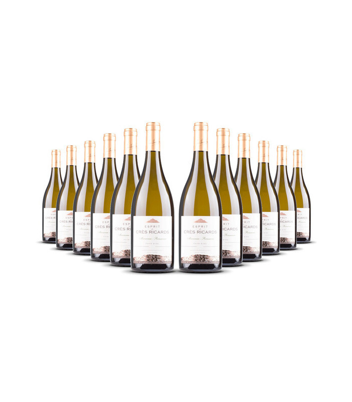 Chateau des Cres Ricards, Marsanne-Roussanne 2021, IGP