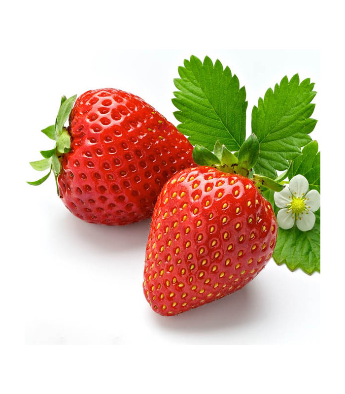 Ovocný čaj Teekanne - fruit kiss, 20x 2,5 g