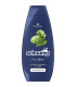 Šampon na vlasy Schauma - For Men, 400 ml
