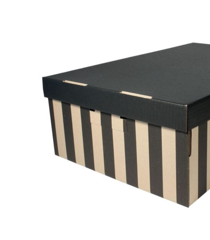 Úložná krabice BIG BOX - hnědočerné, s víkem, 37 x 18 x 56 cm, nosnost 10 kg, 2 ks