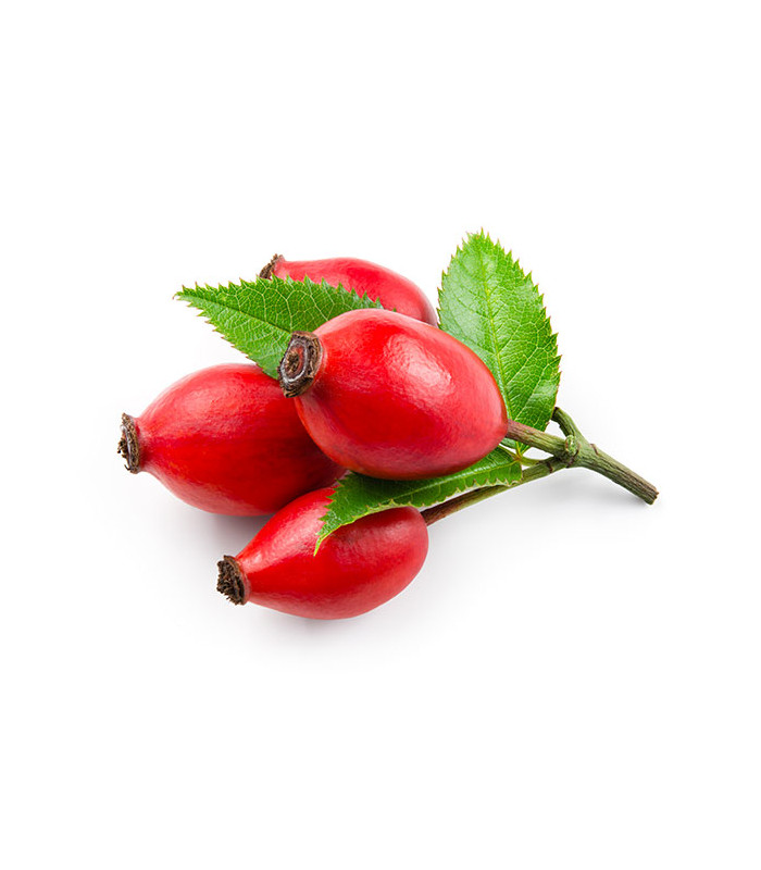 Ovocný čaj Pure - lesní plody, 25x 3,5 g
