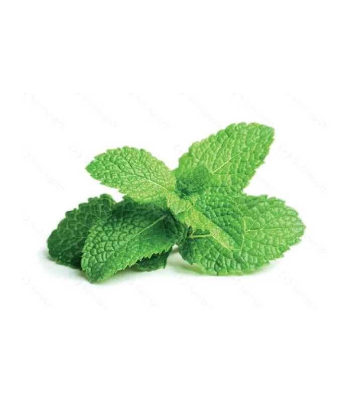 Ovocný čaj Pure - lesní plody, 25x 3,5 g