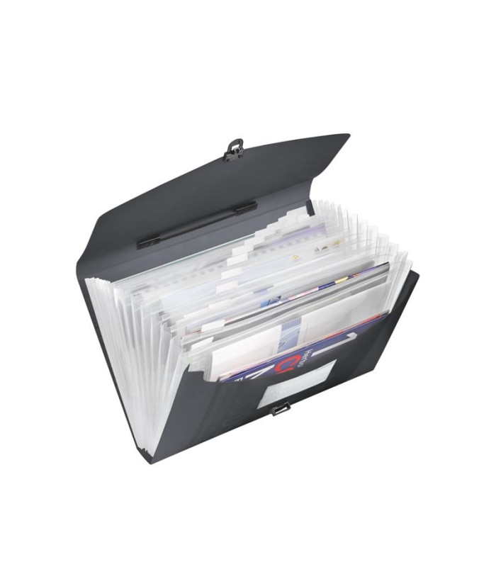 Aktovka s přihrádkami Esselte VIVIDA - A4, 12 přihrádek, černá